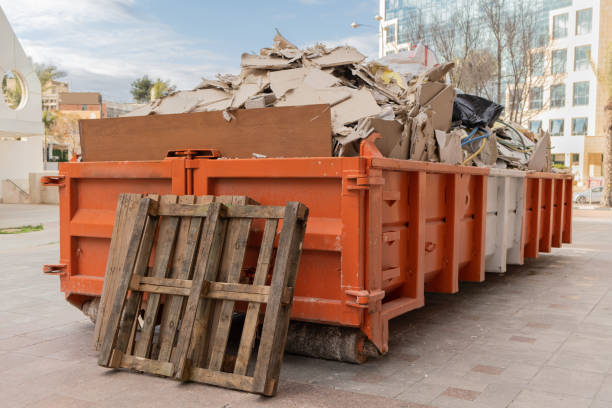 Best Household Junk Removal  in Wheeling, WV
